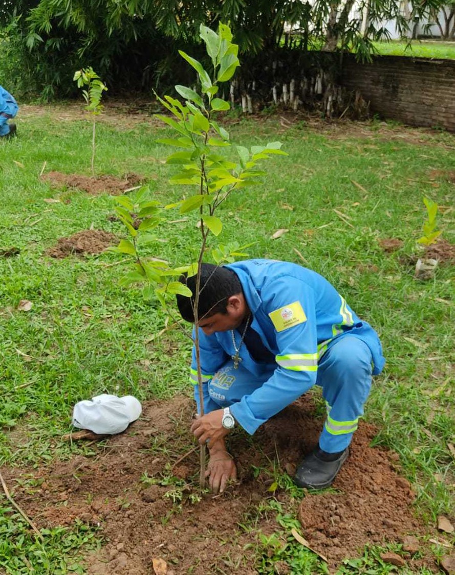 Ag Ncia Municipal Do Meio Ambiente De Sobral Amplia A Arboriza O