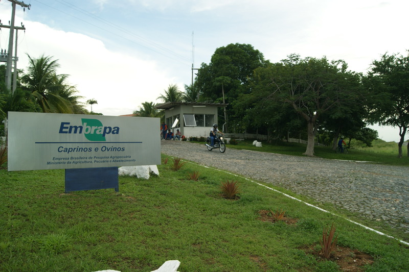 Embrapa abre seleção de bolsas de iniciação científica em Sobral