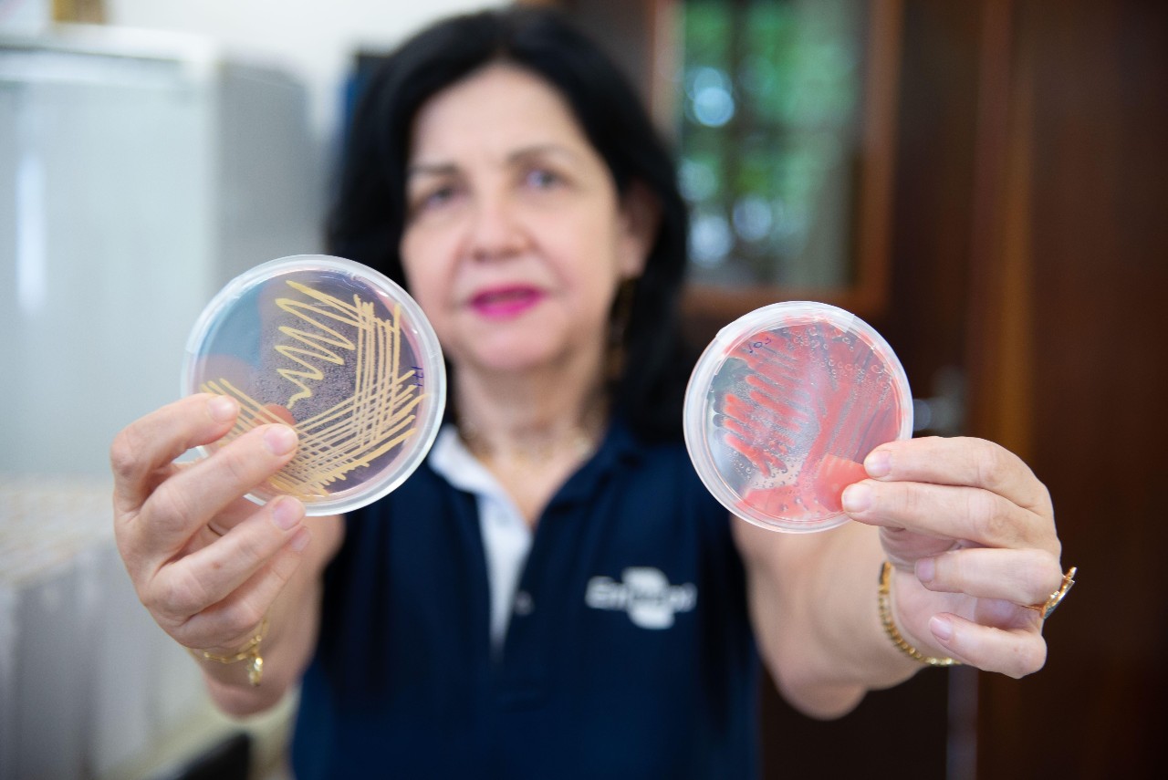 Brasileira ganha prêmio ‘nobel da agricultura’