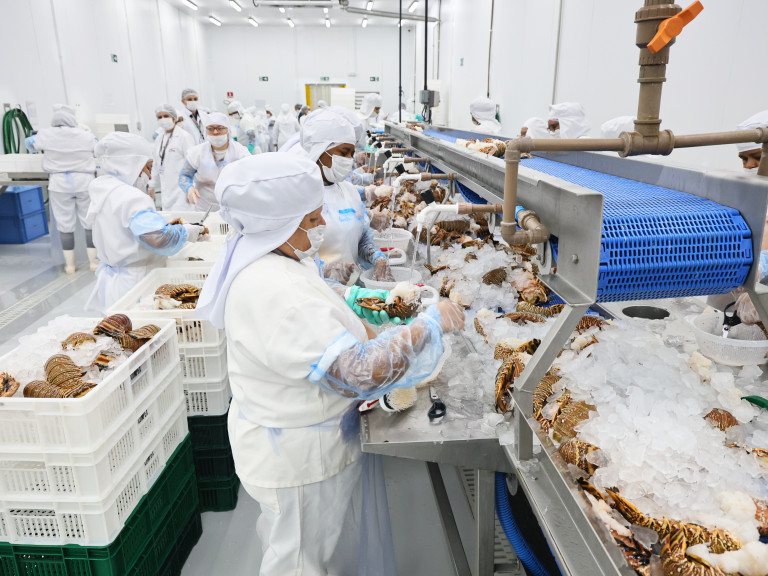Ceará lidera exportações de pescados no país