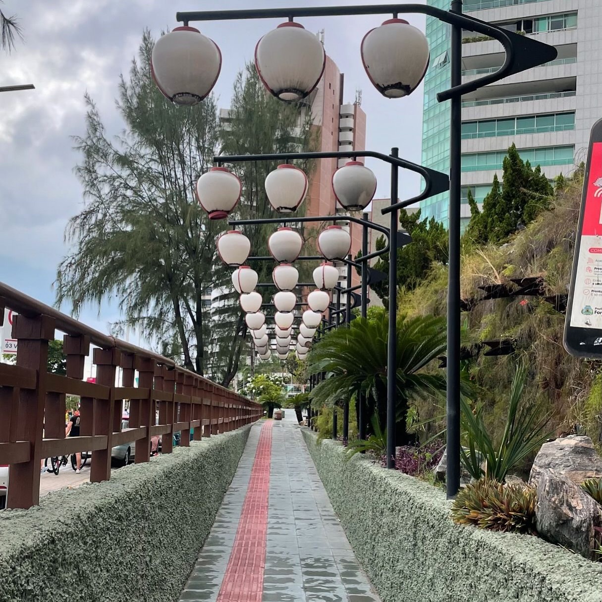Prefeitura de Fortaleza abre inscrições para aulas gratuitas de karatê no Jardim Japonês