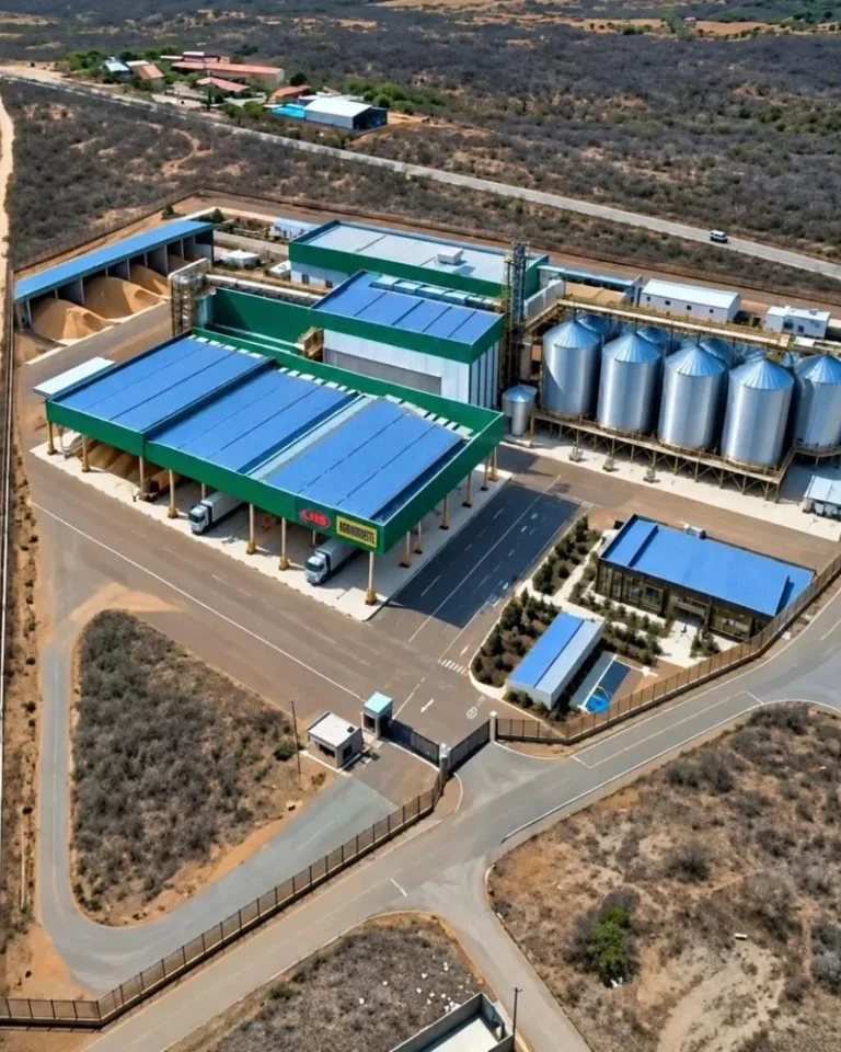 Canindé recebe projeto de R$ 80 milhões para indústria de biomassa